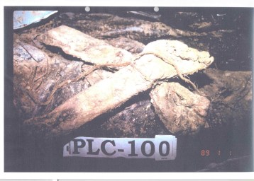Exhibit P129-64 from Krstic trial Srebrenica PLC-100 mass grave - Victims hands were tied with a rope before executions