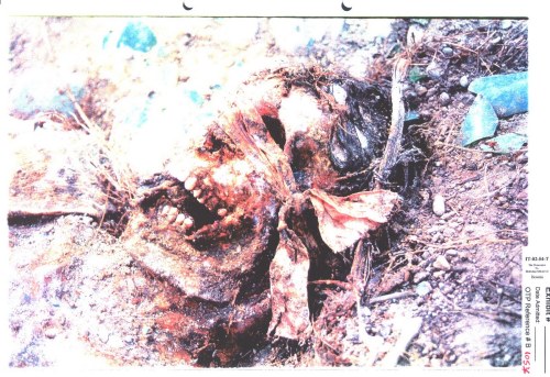 Exhibit P642-15 from Milosevic trial - Blindfolded Srebrenica victim in the Kozluk mass grave